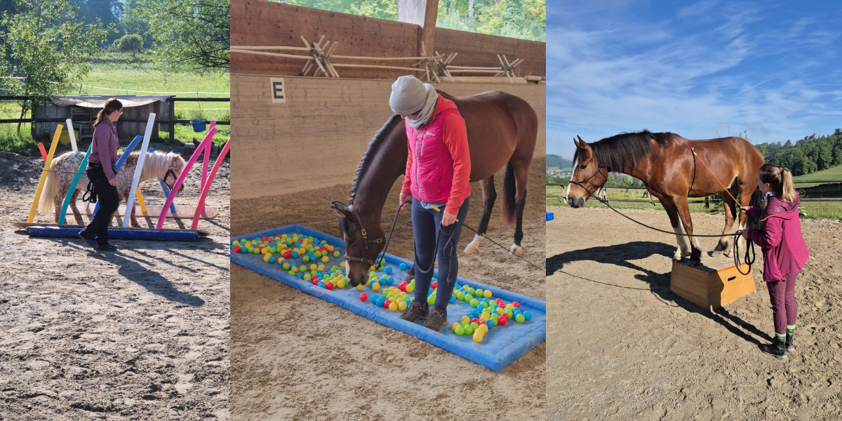 Work with Obstacles – Kurs mit Lara Ritter