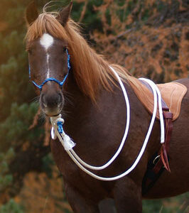 Natürliche Hackamore